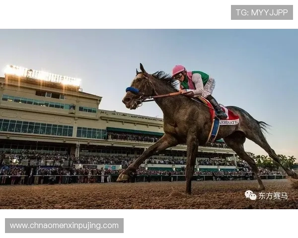 全面解读澳门赛马排位表及相关资料，提供最新赛马新闻帮助用户把握赛马行业发展趋势